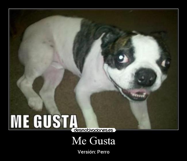 Me Gusta -