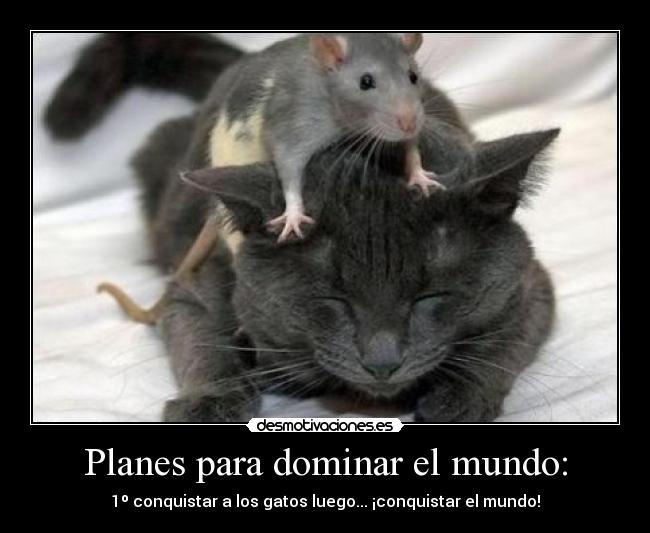 carteles mundo gatos ratones desmotivaciones