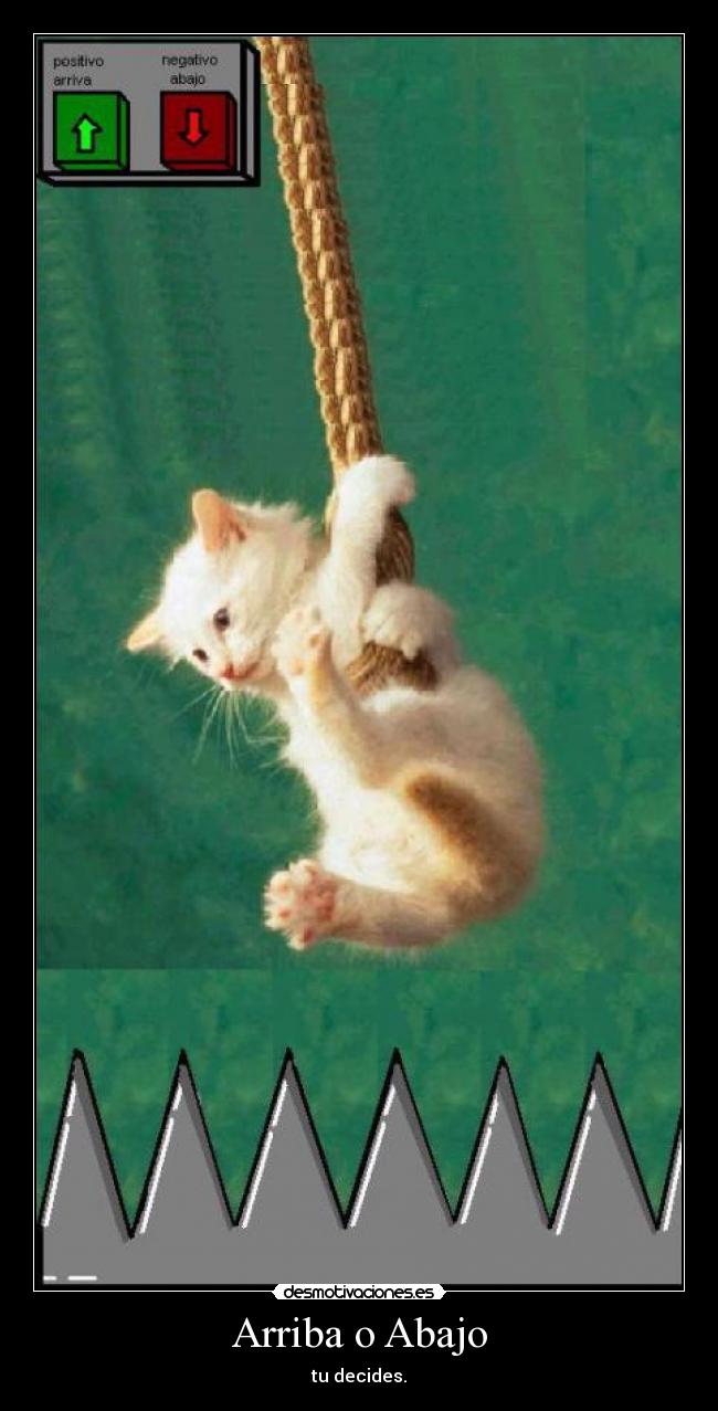 Arriba o Abajo - tu decides.