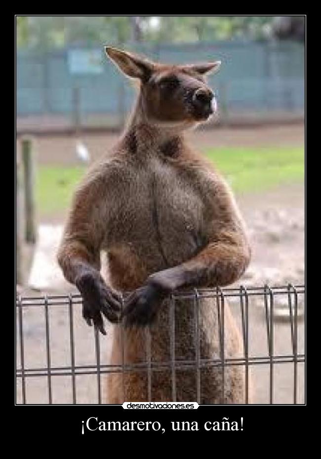 ¡Camarero, una caña! -