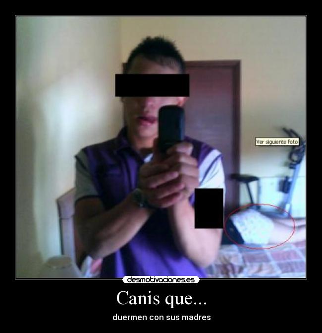 Canis que... - duermen con sus madres