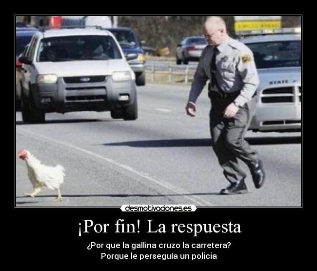 ¡Por fin! La respuesta - ¿Por que la gallina cruzo la carretera?
Porque le perseguía un policia