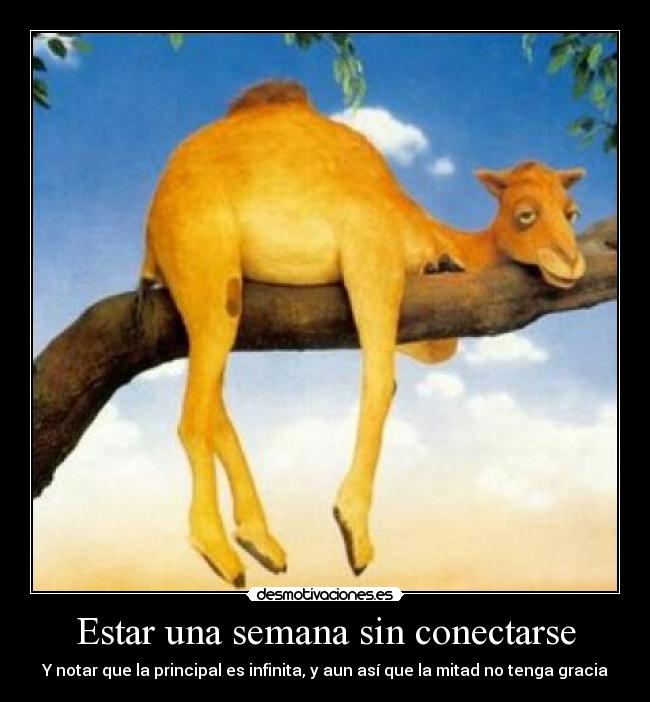 Estar una semana sin conectarse - Y notar que la principal es infinita, y aun así que la mitad no tenga gracia
