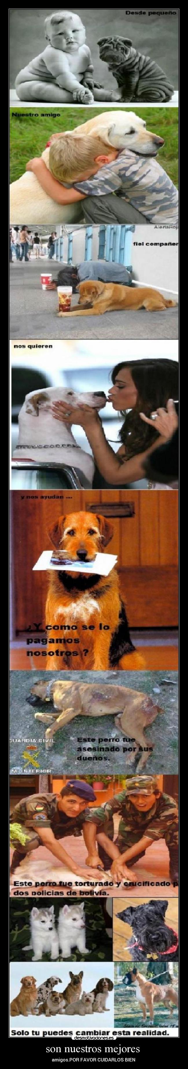 son nuestros mejores -