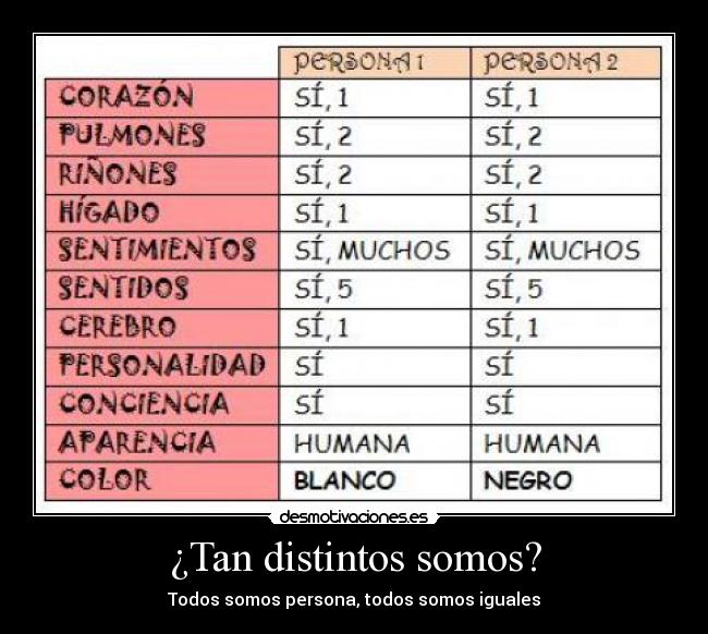 ¿Tan distintos somos? -