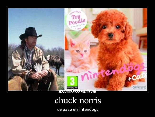 chuck norris - 