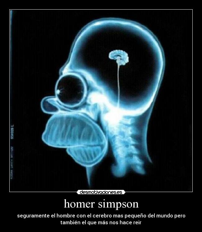 homer simpson -