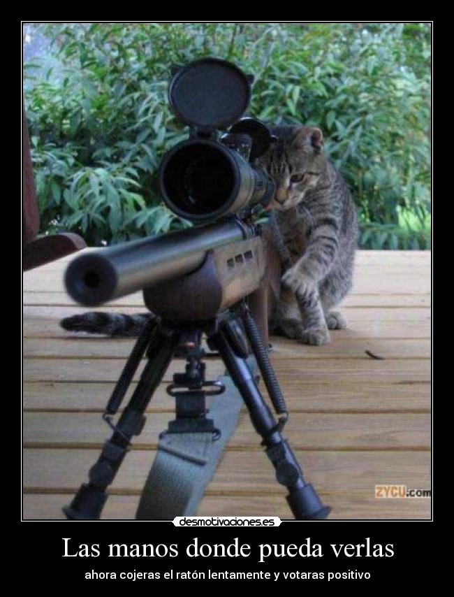 Las manos donde pueda verlas - 