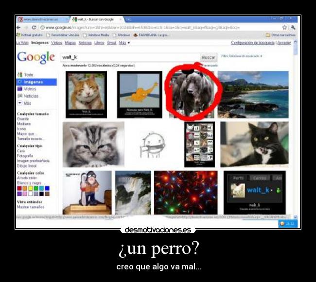 ¿un perro? - creo que algo va mal...