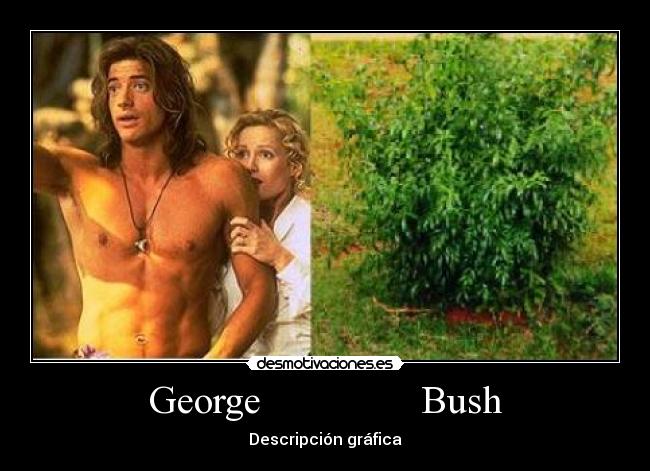 George                Bush - Descripción gráfica