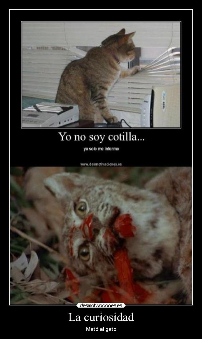 La curiosidad -
