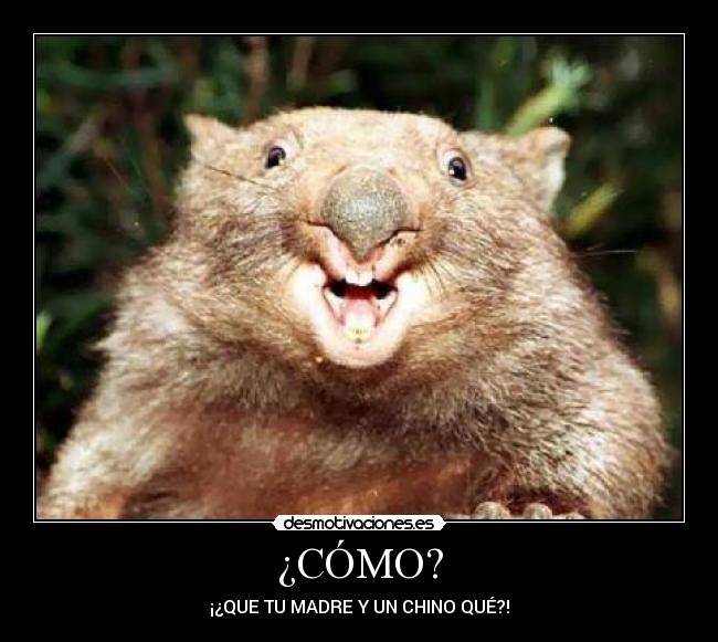 ¿CÓMO? - ¡¿QUE TU MADRE Y UN CHINO QUÉ?!