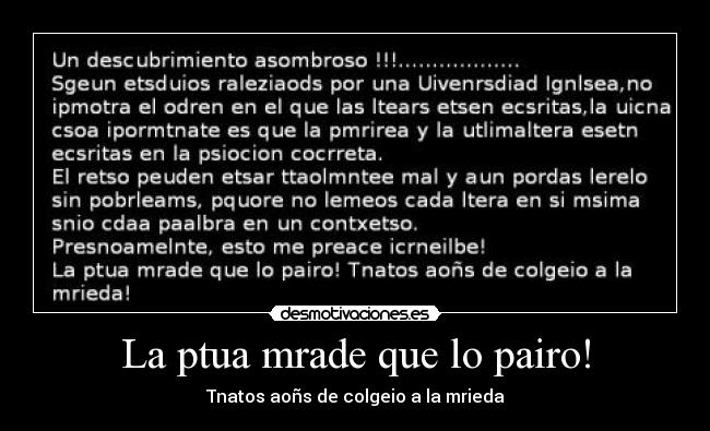 La ptua mrade que lo pairo! - 