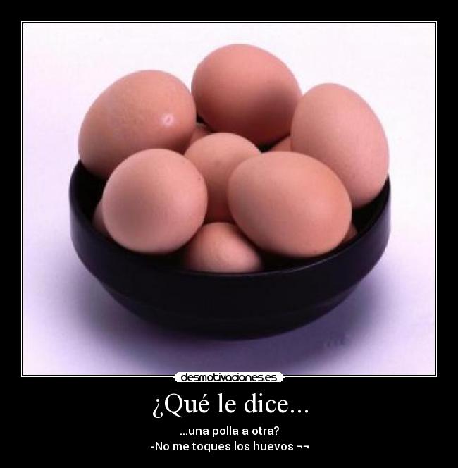 ¿Qué le dice... - ...una polla a otra?
-No me toques los huevos ¬¬