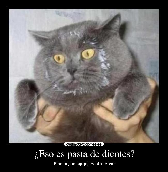 ¿Eso es pasta de dientes? -