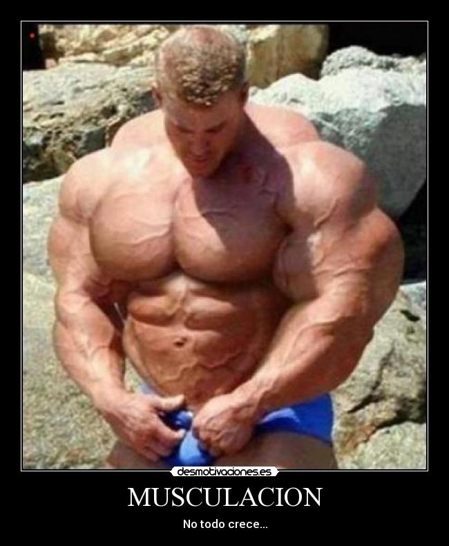 MUSCULACION - 