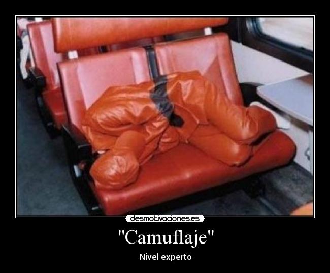 Camuflaje - Nivel experto