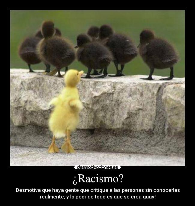 ¿Racismo? - Desmotiva que haya gente que critique a las personas sin conocerlas
realmente, y lo peor de todo es que se crea guay!