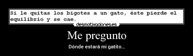 Me pregunto - Dónde estará mi gatito...