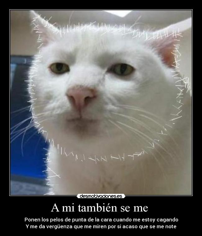 A mi también se me - Ponen los pelos de punta de la cara cuando me estoy cagando
Y me da vergüenza que me miren por si acaso que se me note