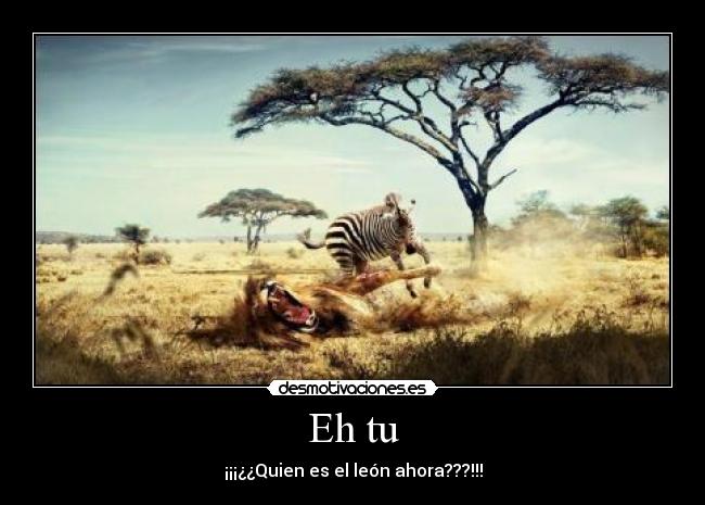 carteles desmotivaciones