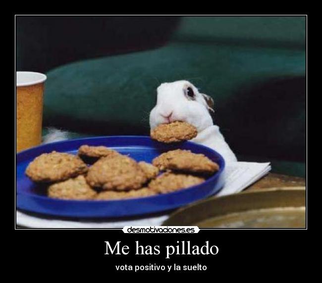 Me has pillado - 