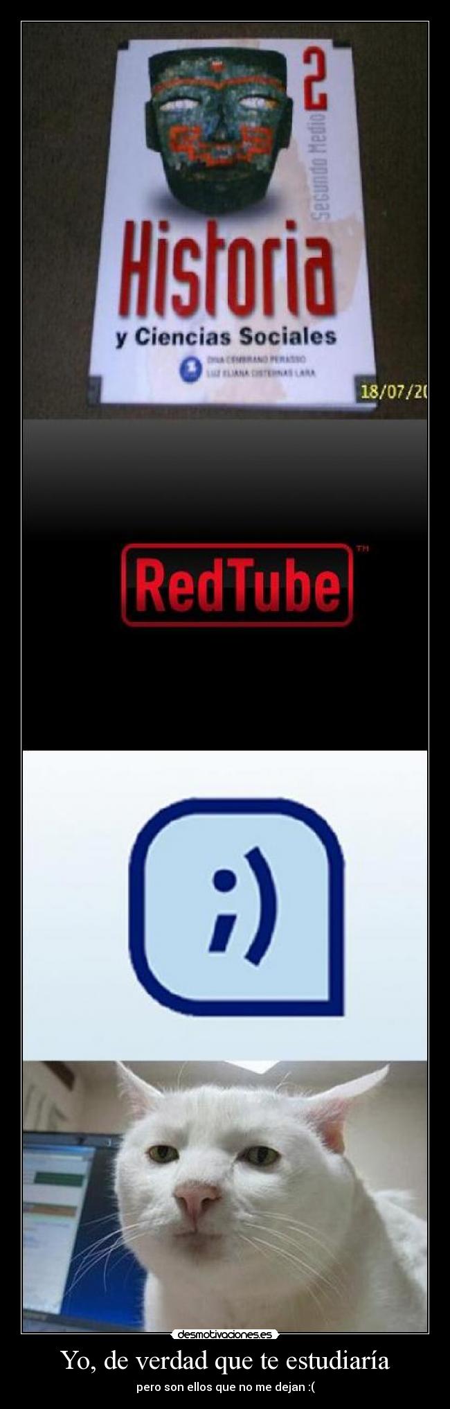 Yo, de verdad que te estudiaría - pero son ellos que no me dejan :(