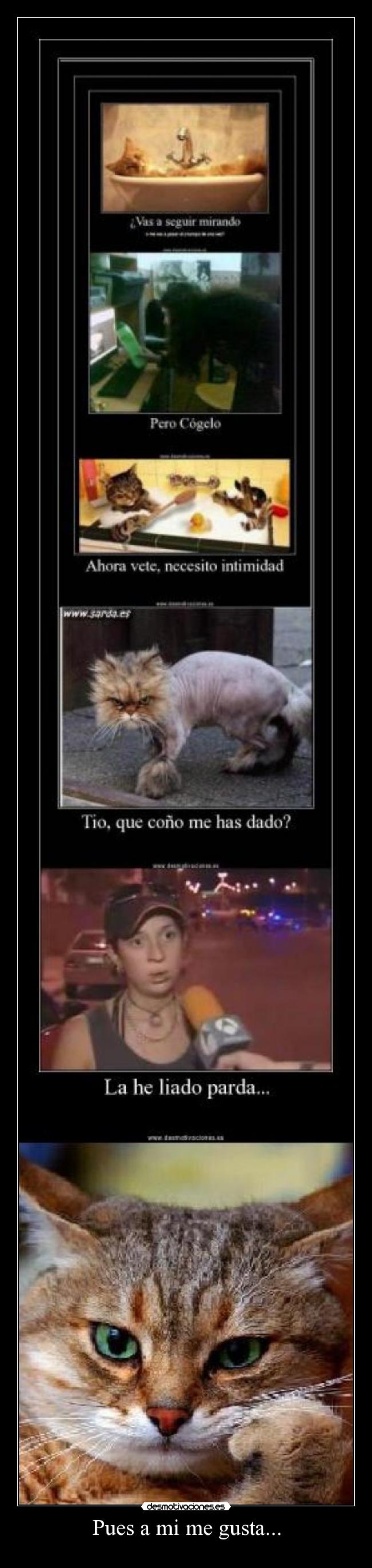 Pues a mi me gusta... -