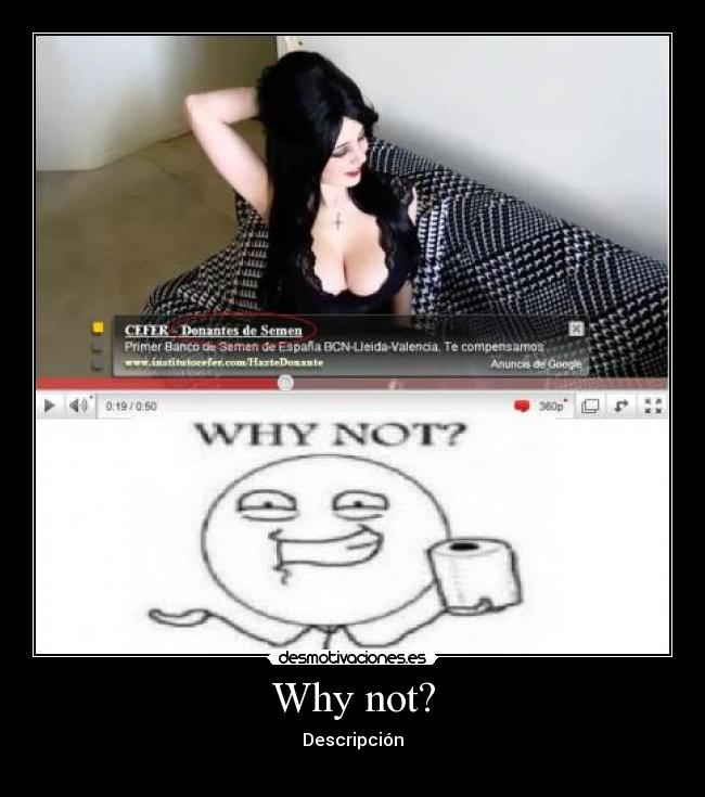 Why not? - Descripción
