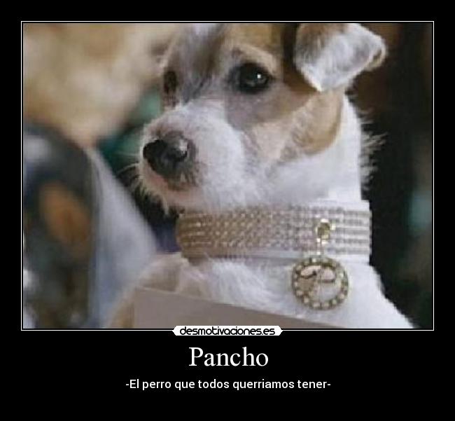 Pancho -