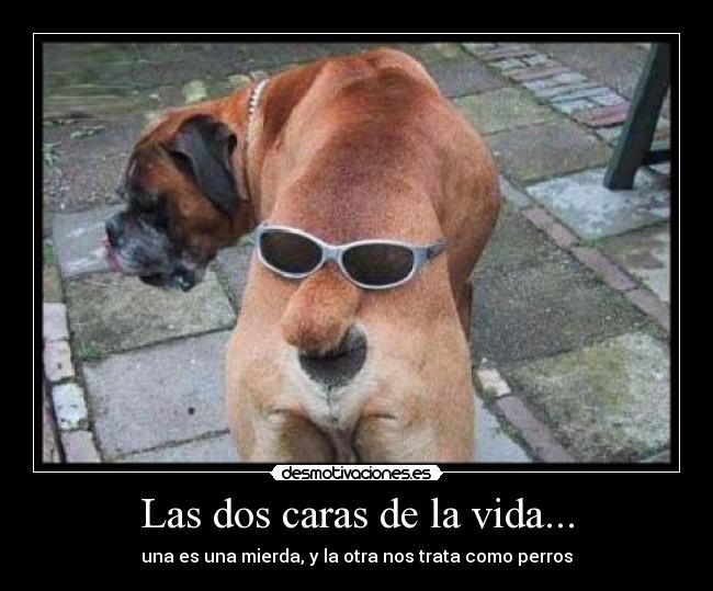 Las dos caras de la vida... -