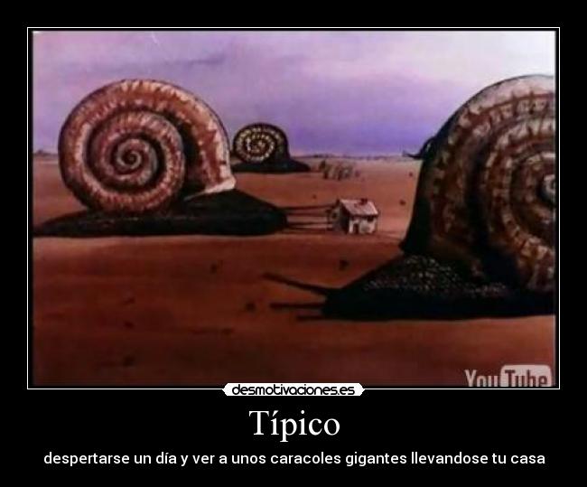 Típico - 