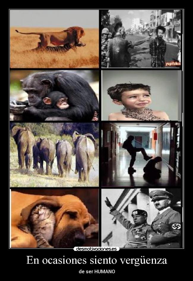 En ocasiones siento vergüenza - de ser HUMANO
