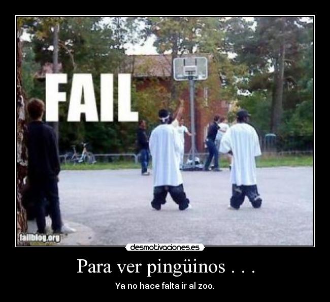 Para ver pingüinos . . . -