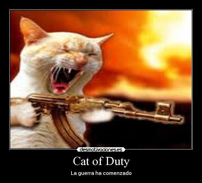 Cat of Duty - 