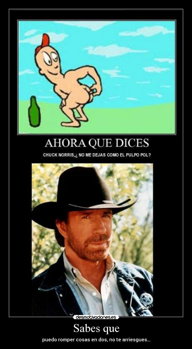 carteles chuck norris pulpo paul desmotivaciones