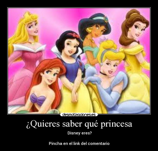 carteles princesa disney desmotivaciones