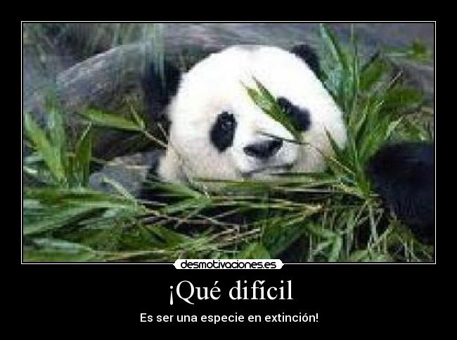 ¡Qué difícil - Es ser una especie en extinción!