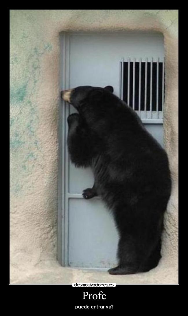 carteles dasc desmotivaciones