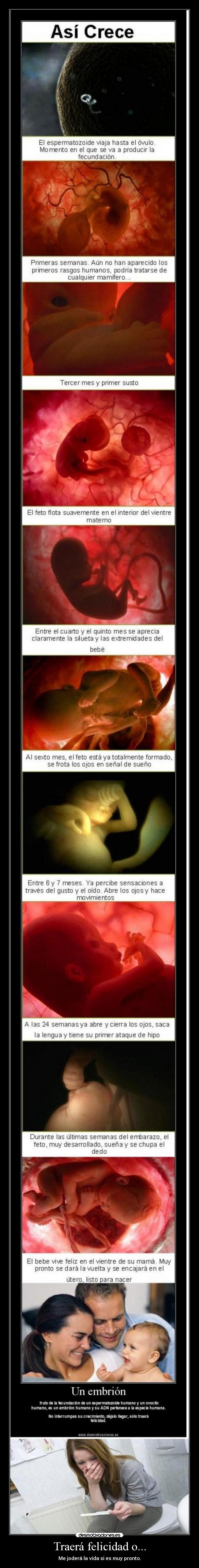 Traerá felicidad o... -