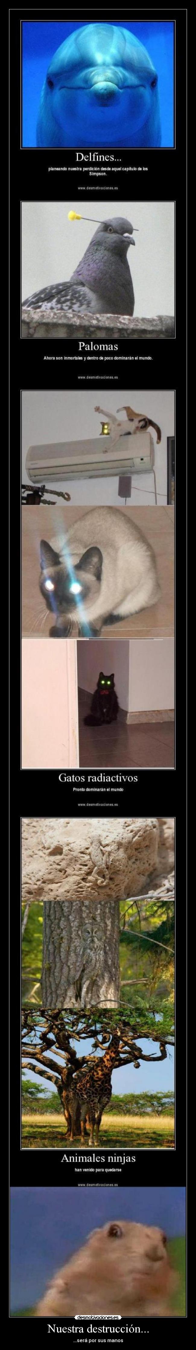 Nuestra destrucción... -