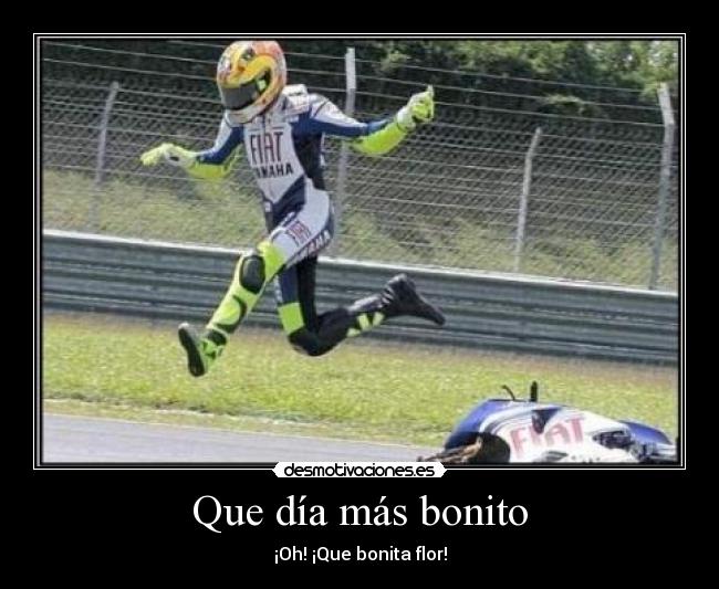 Que día más bonito - ¡Oh! ¡Que bonita flor!