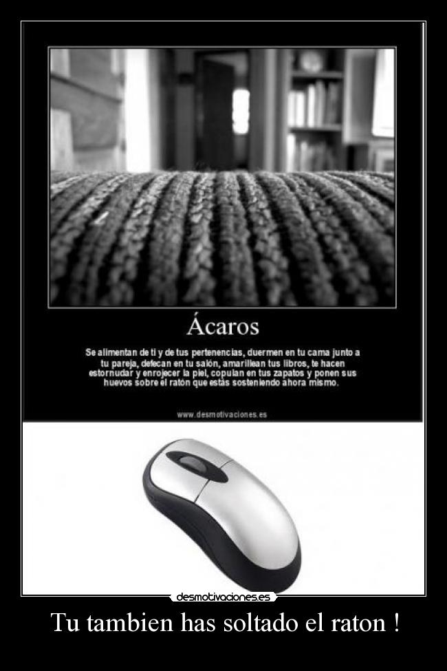 Tu tambien has soltado el raton ! -