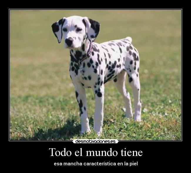 Todo el mundo tiene - esa mancha característica en la piel