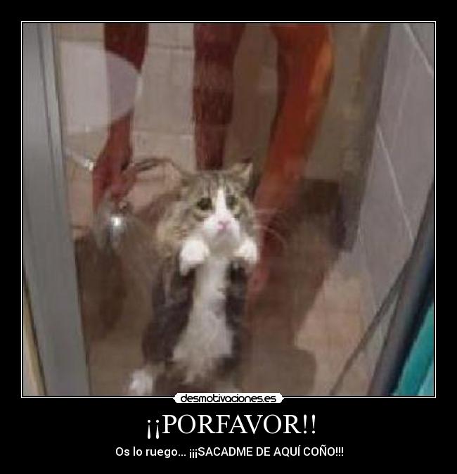 ¡¡PORFAVOR!! - 