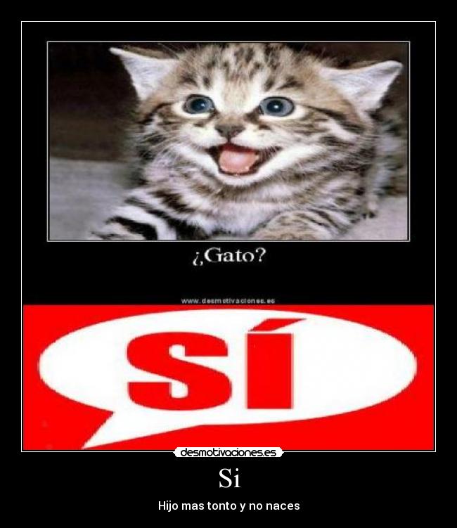 Si - Hijo mas tonto y no naces