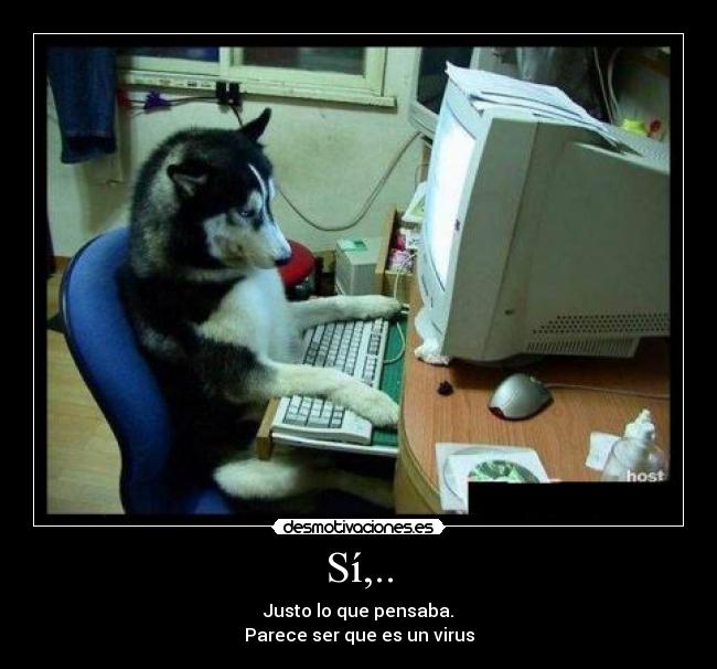 carteles perro-informatico desmotivaciones