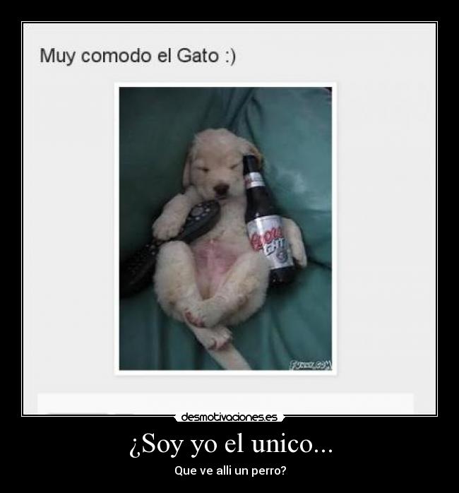 ¿Soy yo el unico... -