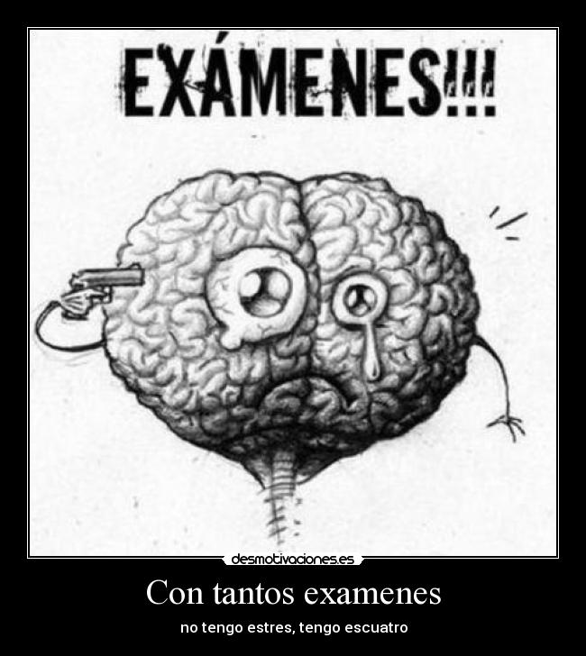 Con tantos examenes - no tengo estres, tengo escuatro