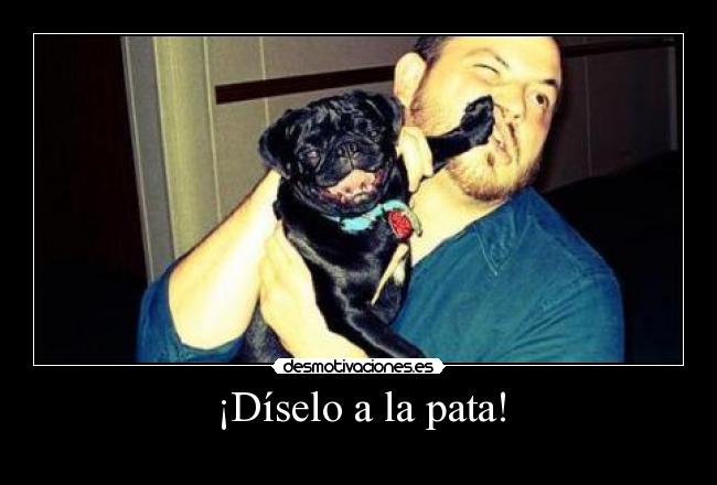 ¡Díselo a la pata! -